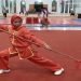 PB WI komitmen tingkatkan prestasi wushu